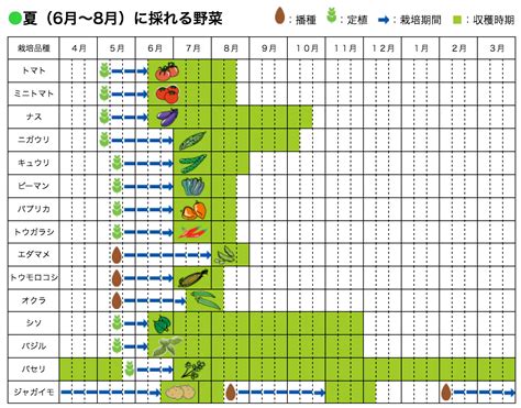 植物栽培方法|【家庭菜園】野菜の栽培方法 〜種まき・植え付け時期から探す。